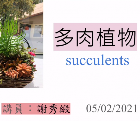 20210608043446_wp-content_uploads_2021_05_謝綉緞講多肉植物-534x462_p